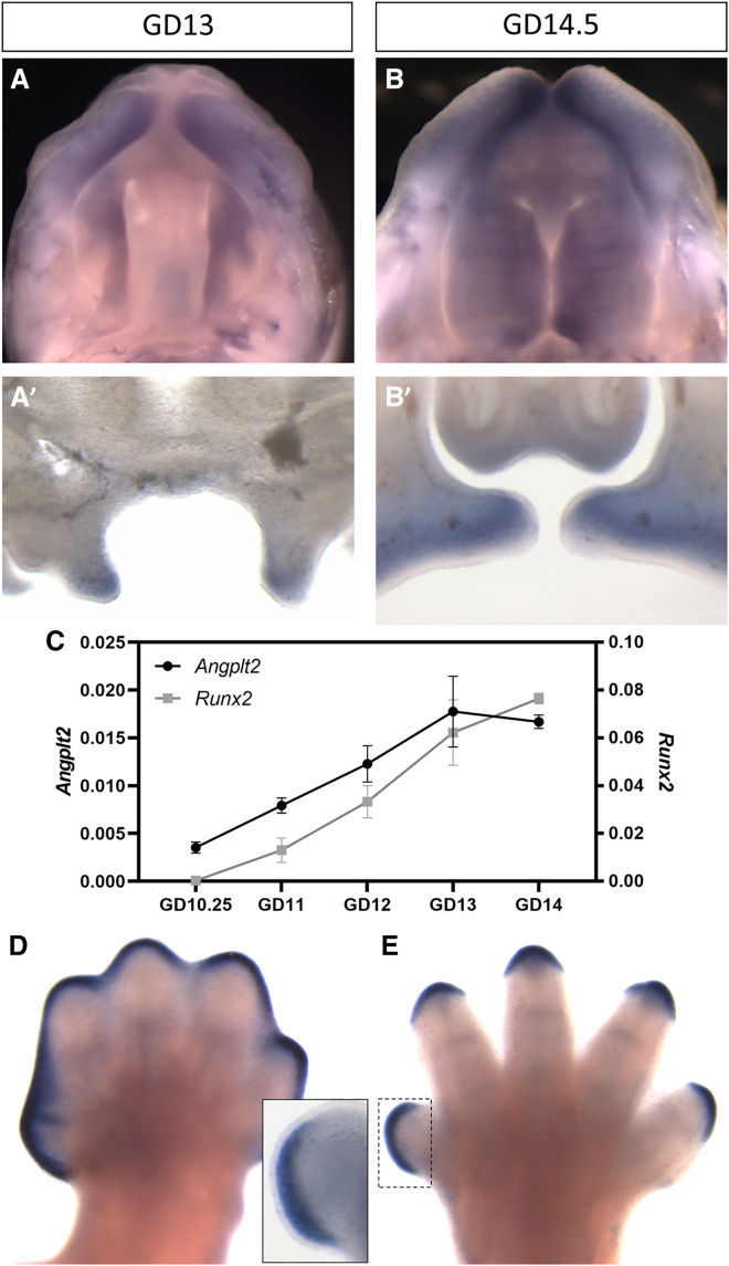 Figure 4