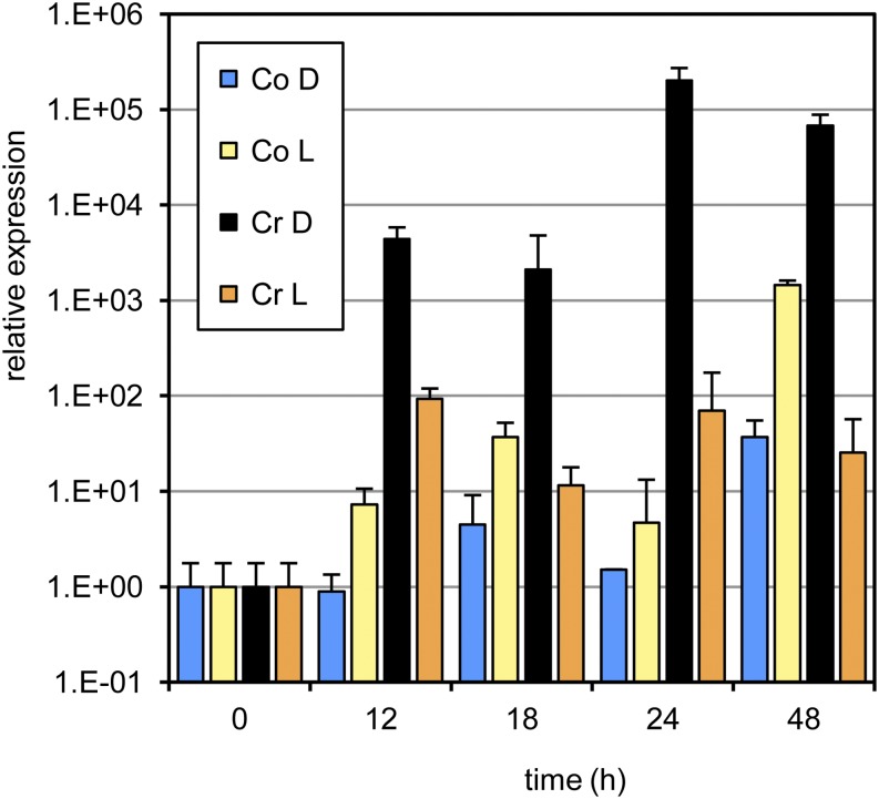 Figure 4.