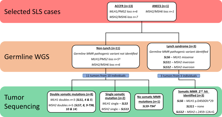 Figure 2