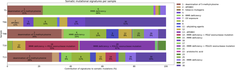 Figure 3