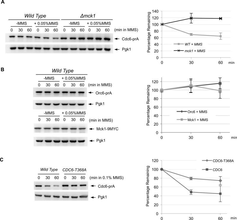 FIGURE 4: