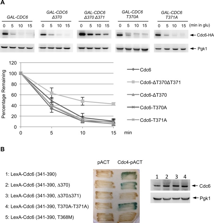 FIGURE 3: