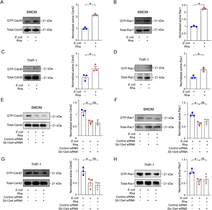 Figure 6