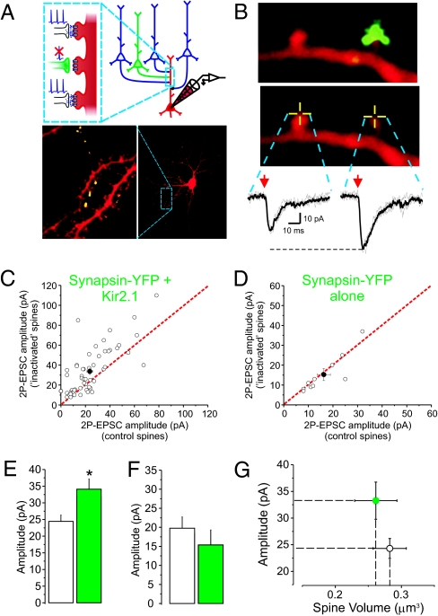 Fig. 2.