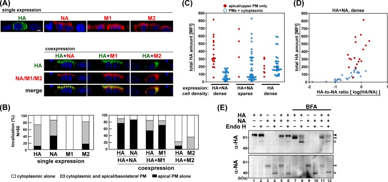 FIG 3