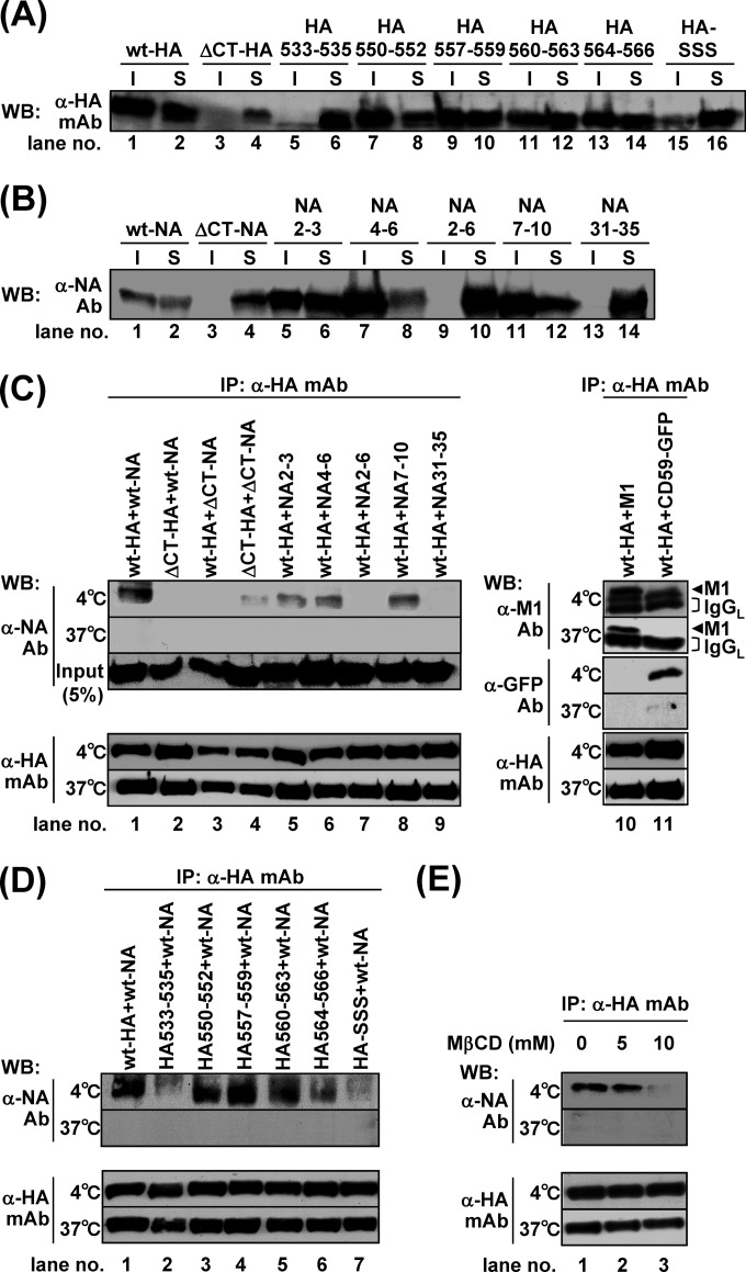 FIG 6