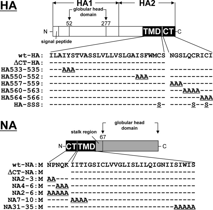 FIG 4