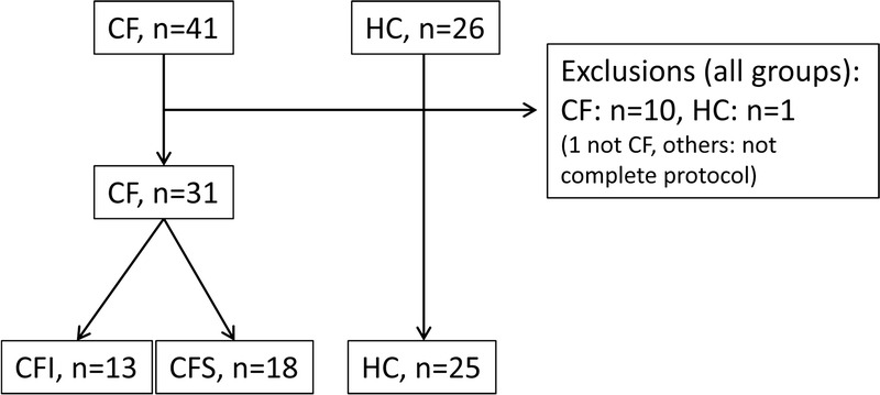 FIGURE 1