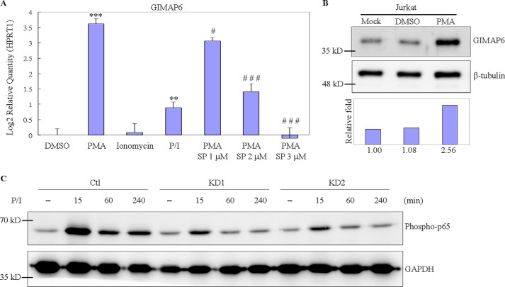 Figure 6.