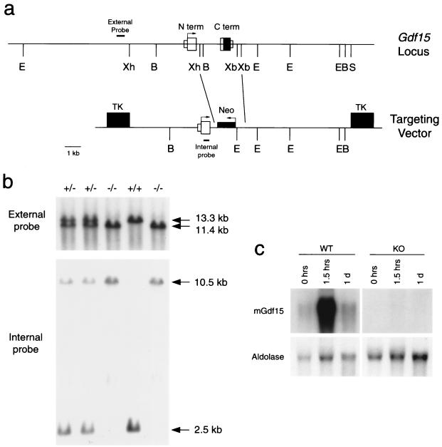 FIG. 6