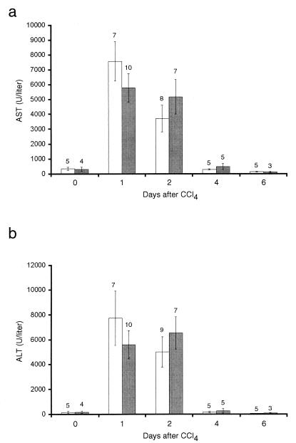 FIG. 8