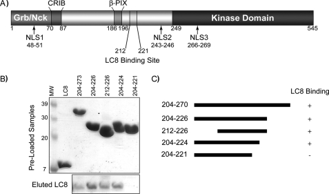 FIGURE 1.