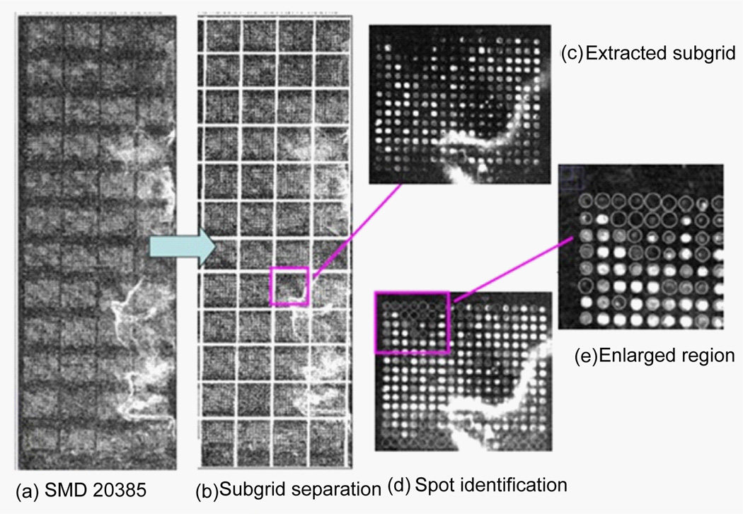 Figure 14