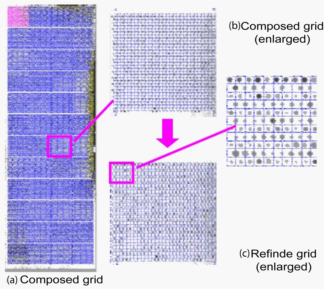 Figure 19