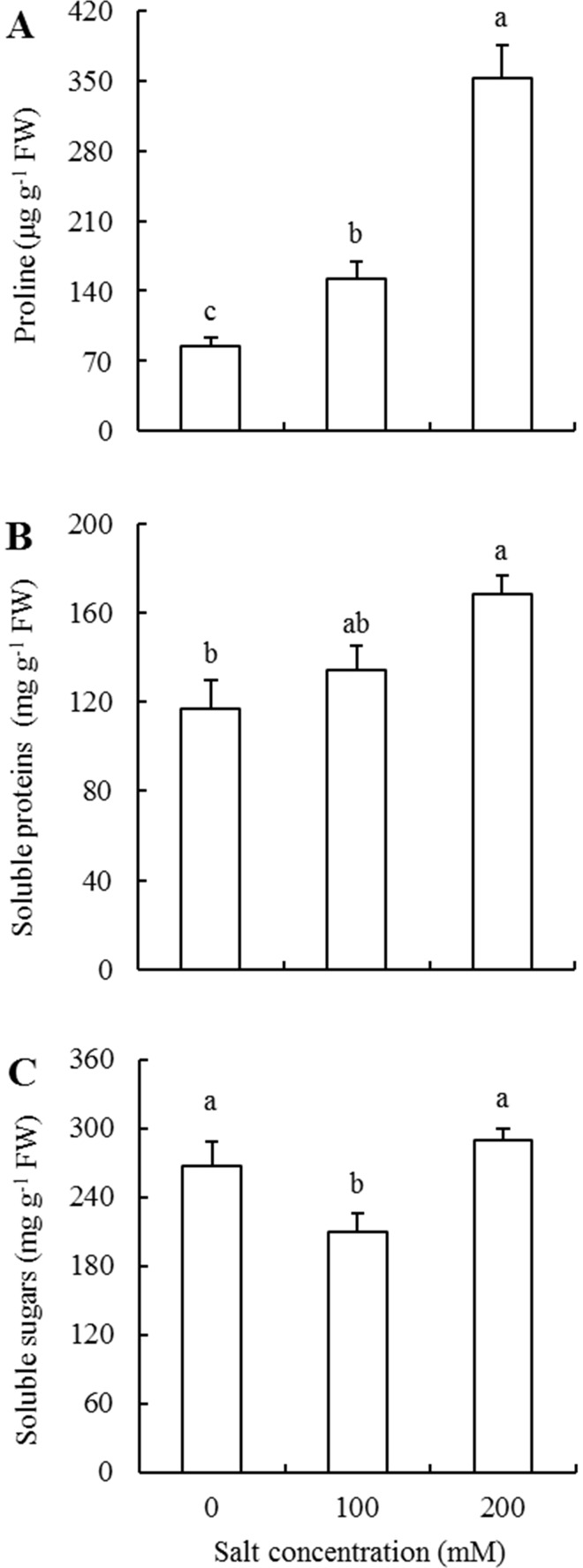 Fig 5