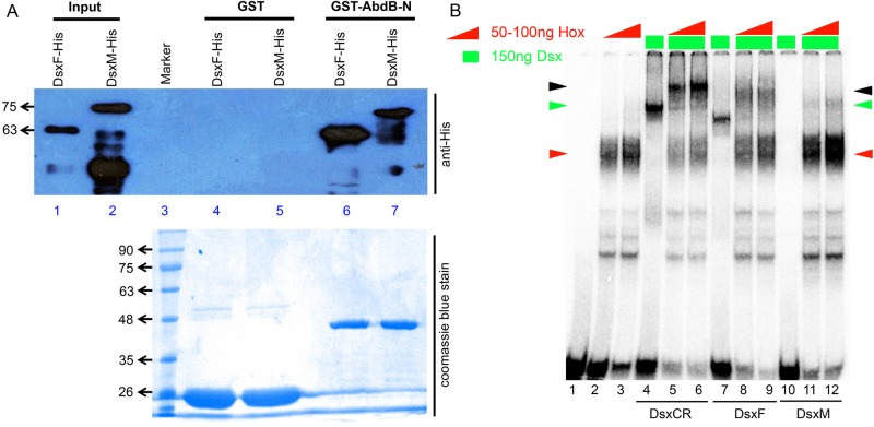 Fig. 7.