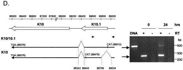 FIG. 5