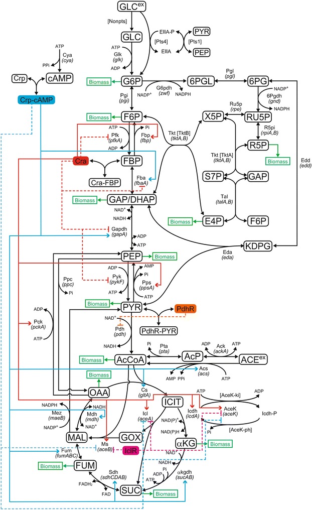 Fig. 1