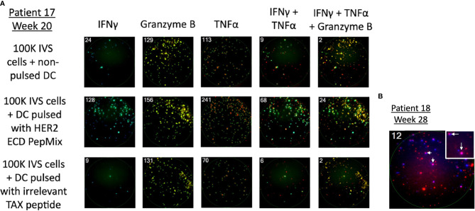 Figure 4