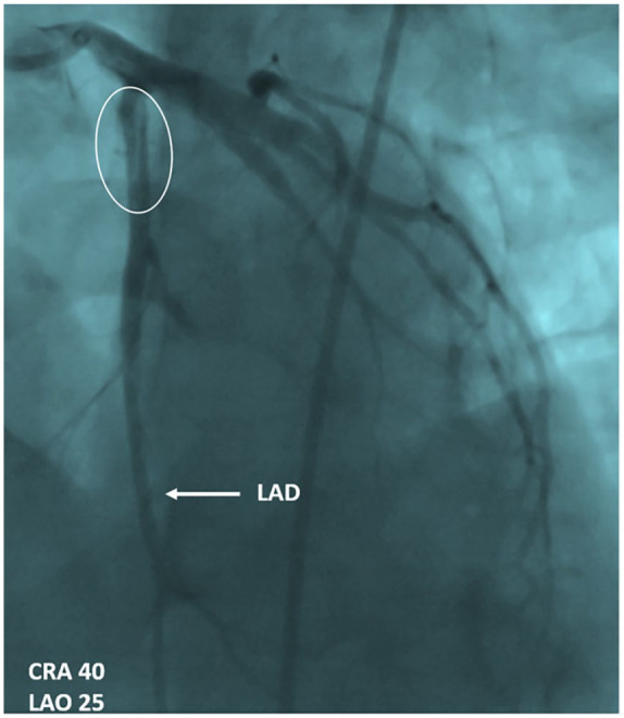 Figure 3.