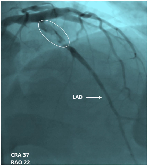 Figure 2.