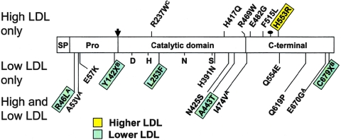 Figure  1