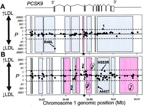 Figure  6