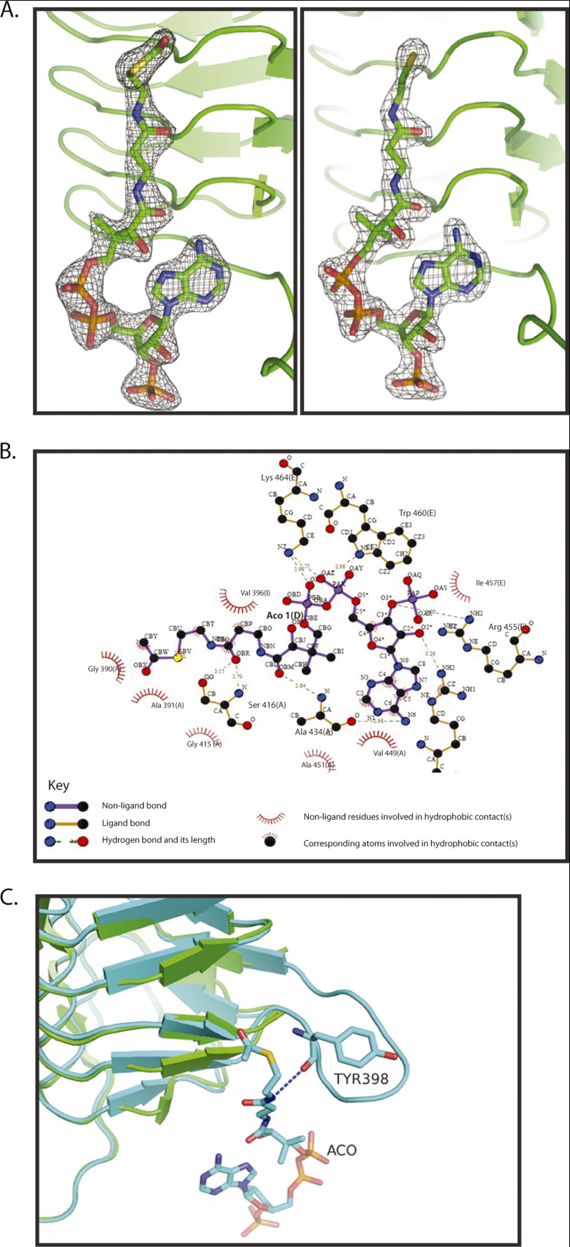 FIGURE 1.