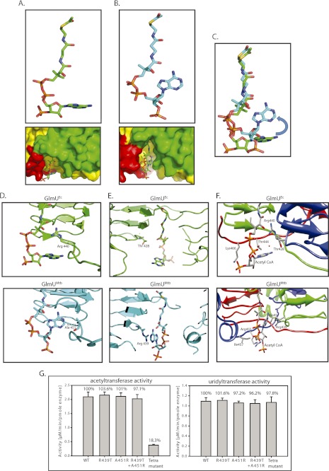 FIGURE 4.