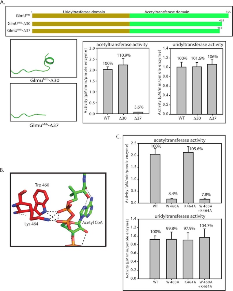 FIGURE 5.