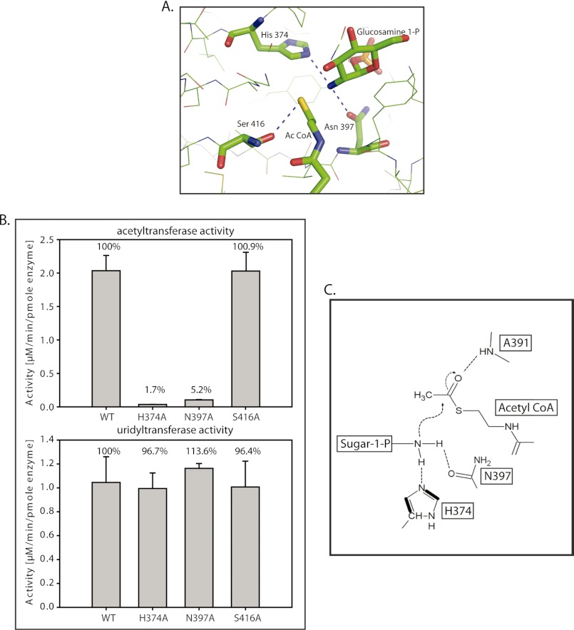 FIGURE 3.