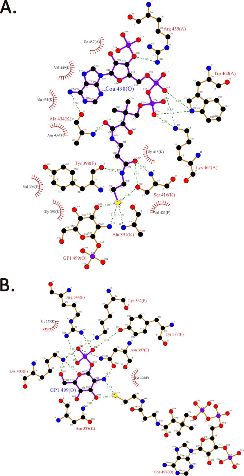 FIGURE 2.