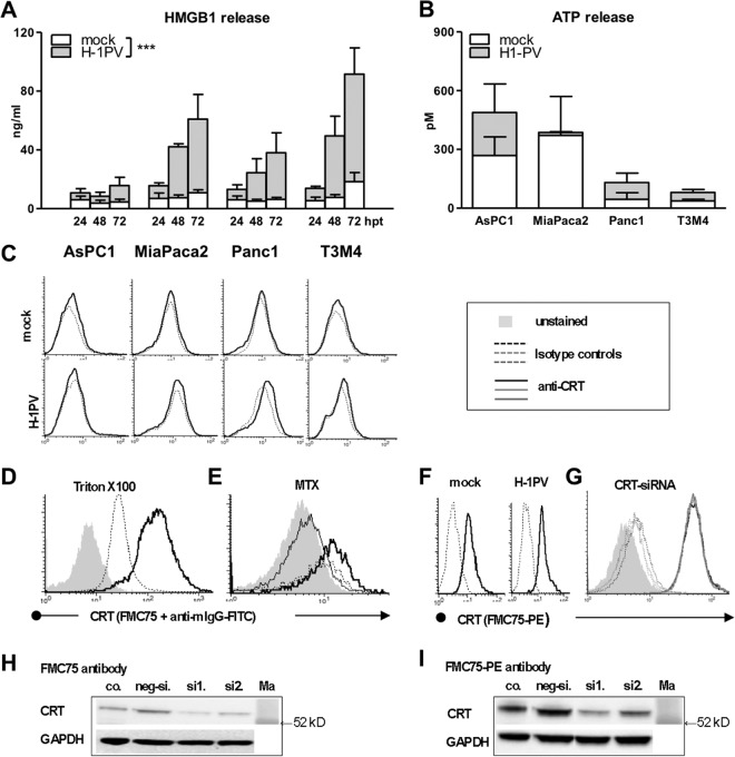 FIG 1