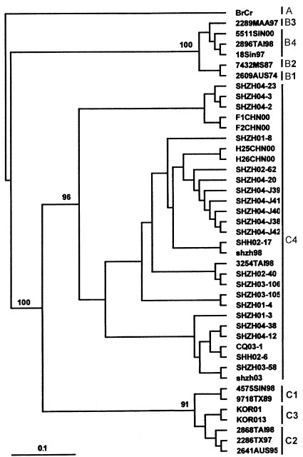 FIG. 1.