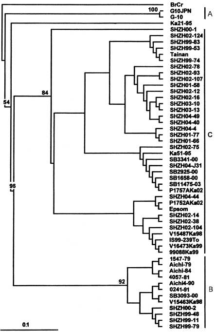 FIG. 3.