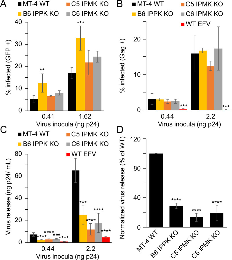 Fig 3