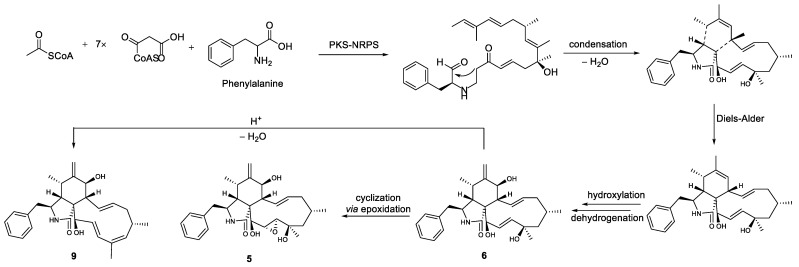 Scheme 1