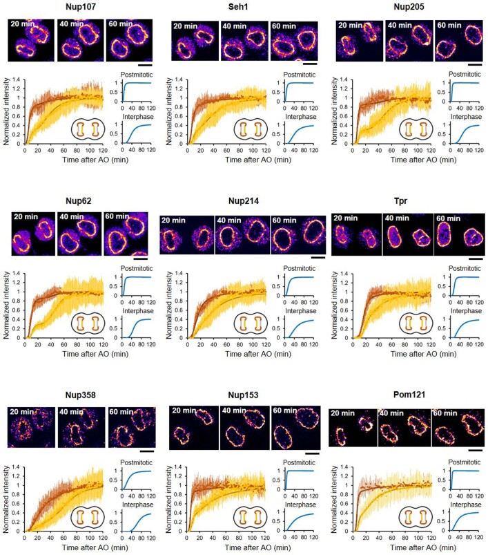 Extended Data Fig. 6