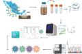 Image, graphical abstract