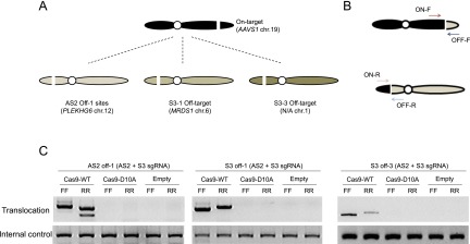 Figure 7.