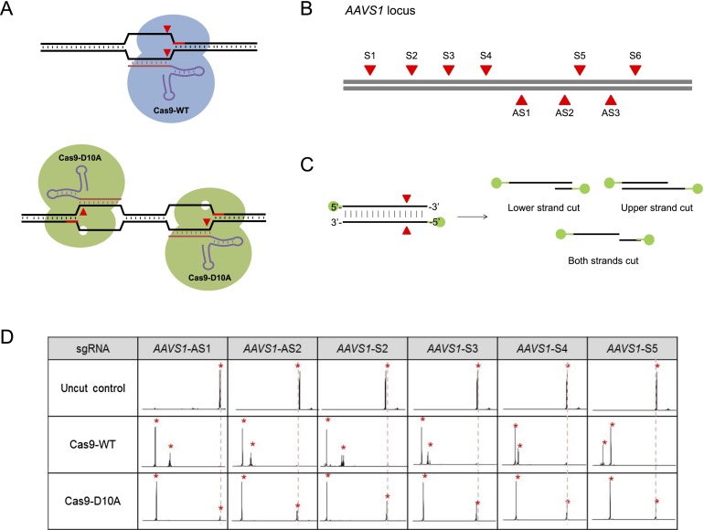 Figure 4.