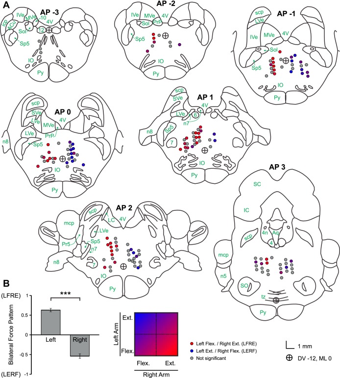 Fig. 10.