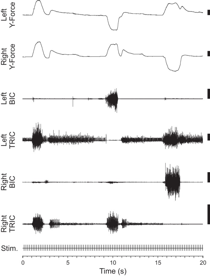 Fig. 2.