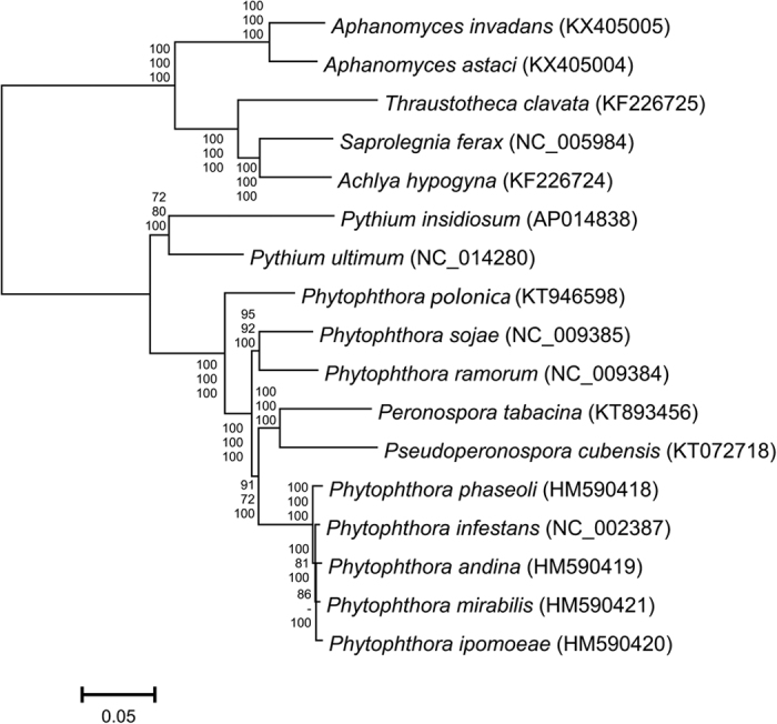 Figure 2