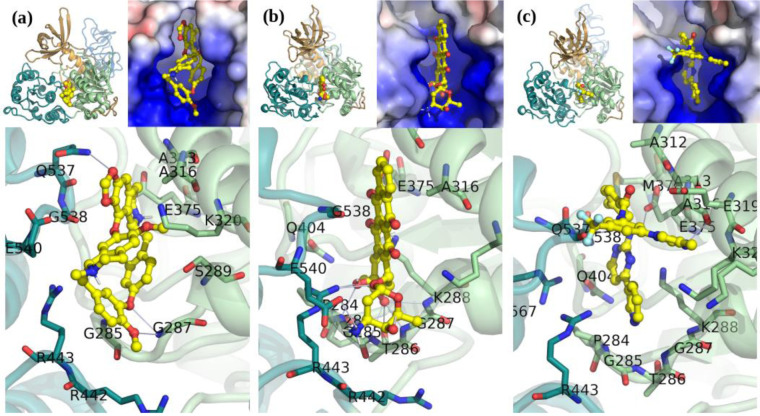 Figure 3.