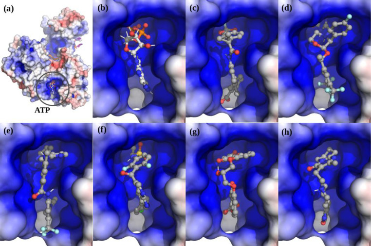 Figure 4.