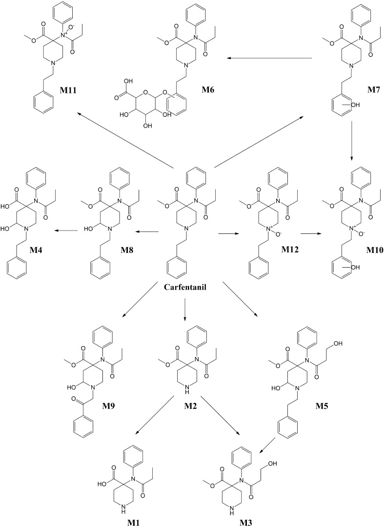 Fig. 4