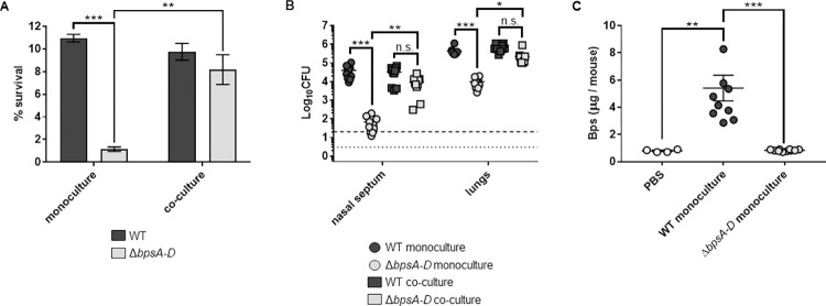 Fig 5