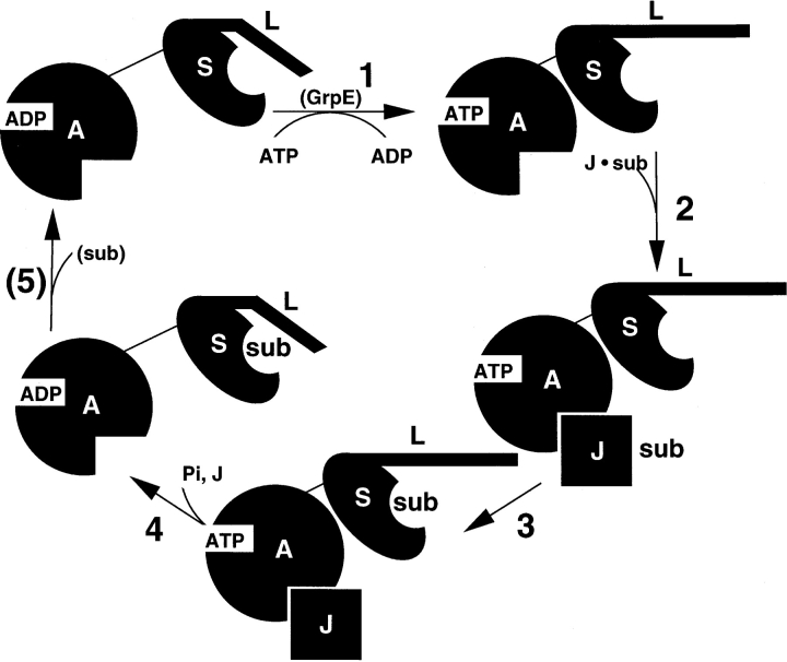 Figure 7.