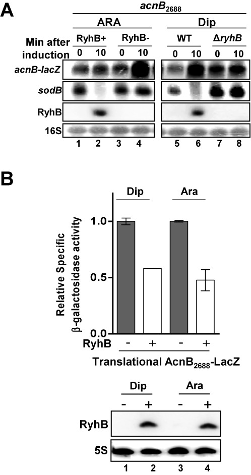 Figure 4.